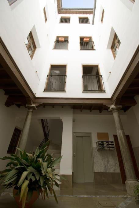 Atico Elvira Apartment กรานาดา ภายนอก รูปภาพ